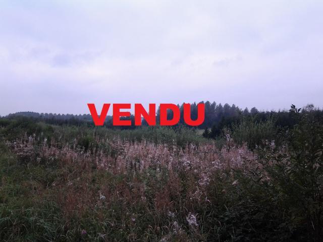 foret a vendre luxembourg