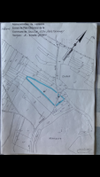 Resteigne, parcelle très bien située, 1ha16a35ca, mélange pins noirs, pins sylvestres.