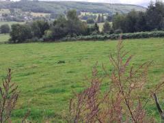 Deux parcelles à Bihain