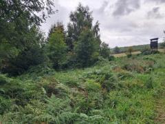 Deux parcelles à Bihain