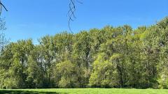 Propriété forestière 