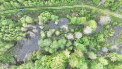 Parcelle de régénération naturelle 5000 m²
