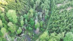 Parcelle de régénération naturelle 5000 m²