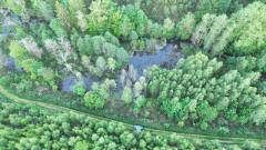Parcelle de régénération naturelle 5000 m²