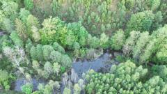 Parcelle de régénération naturelle 5000 m²
