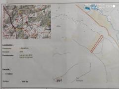 Lierneux  vente Terrain boisé